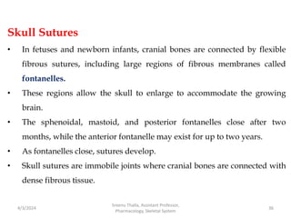 Skull Sutures
• In fetuses and newborn infants, cranial bones are connected by flexible
fibrous sutures, including large regions of fibrous membranes called
fontanelles.
• These regions allow the skull to enlarge to accommodate the growing
brain.
• The sphenoidal, mastoid, and posterior fontanelles close after two
months, while the anterior fontanelle may exist for up to two years.
• As fontanelles close, sutures develop.
• Skull sutures are immobile joints where cranial bones are connected with
dense fibrous tissue.
4/3/2024 36
Sreenu Thalla, Assistant Professor,
Pharmacology, Skeletal System
 
