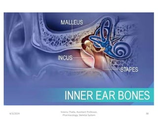 4/3/2024 38
Sreenu Thalla, Assistant Professor,
Pharmacology, Skeletal System
 