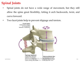 Spinal Joints
• Spinal joints do not have a wide range of movement, but they still
allow the spine great flexibility, letting it arch backwards, twist, and
curve forward.
• Two facet joints help to prevent slippage and torsion.
4/3/2024 43
Sreenu Thalla, Assistant Professor,
Pharmacology, Skeletal System
 