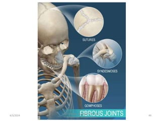4/3/2024 49
Sreenu Thalla, Assistant Professor,
Pharmacology, Skeletal System
 