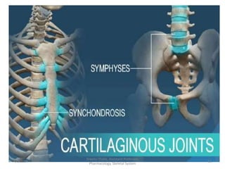 4/3/2024 51
Sreenu Thalla, Assistant Professor,
Pharmacology, Skeletal System
 