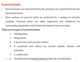 Synovial Joints
• Synovial joints are characterized by the presence of a capsule between the
two joined bones.
• Bone surfaces at synovial joints are protected by a coating of articular
cartilage. Synovial joints are often supported and reinforced by
surrounding ligaments, which limit movement to prevent injury.
There are six types of synovial joints:
 Gliding joints
 Hinge joints
 A pivot joint which provides rotation.
 A condyloid joint allows for circular motion, flexion, and
extension
 A saddle joint
 The ball-and-socket joint such as in the hip and shoulder
4/3/2024 54
Sreenu Thalla, Assistant Professor,
Pharmacology, Skeletal System
 