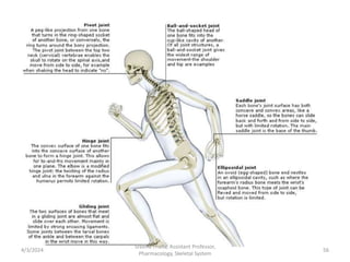 4/3/2024 56
Sreenu Thalla, Assistant Professor,
Pharmacology, Skeletal System
 