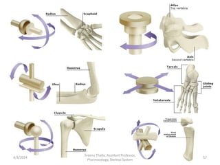 4/3/2024 57
Sreenu Thalla, Assistant Professor,
Pharmacology, Skeletal System
 