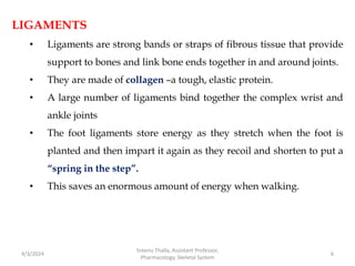 LIGAMENTS
• Ligaments are strong bands or straps of fibrous tissue that provide
support to bones and link bone ends together in and around joints.
• They are made of collagen –a tough, elastic protein.
• A large number of ligaments bind together the complex wrist and
ankle joints
• The foot ligaments store energy as they stretch when the foot is
planted and then impart it again as they recoil and shorten to put a
“spring in the step”.
• This saves an enormous amount of energy when walking.
4/3/2024 6
Sreenu Thalla, Assistant Professor,
Pharmacology, Skeletal System
 