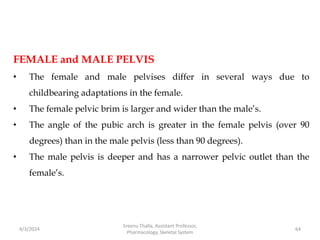 FEMALE and MALE PELVIS
• The female and male pelvises differ in several ways due to
childbearing adaptations in the female.
• The female pelvic brim is larger and wider than the male’s.
• The angle of the pubic arch is greater in the female pelvis (over 90
degrees) than in the male pelvis (less than 90 degrees).
• The male pelvis is deeper and has a narrower pelvic outlet than the
female’s.
4/3/2024 64
Sreenu Thalla, Assistant Professor,
Pharmacology, Skeletal System
 