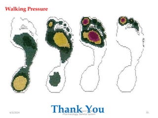 Walking Pressure
Thank You
4/3/2024 70
Sreenu Thalla, Assistant Professor,
Pharmacology, Skeletal System
 