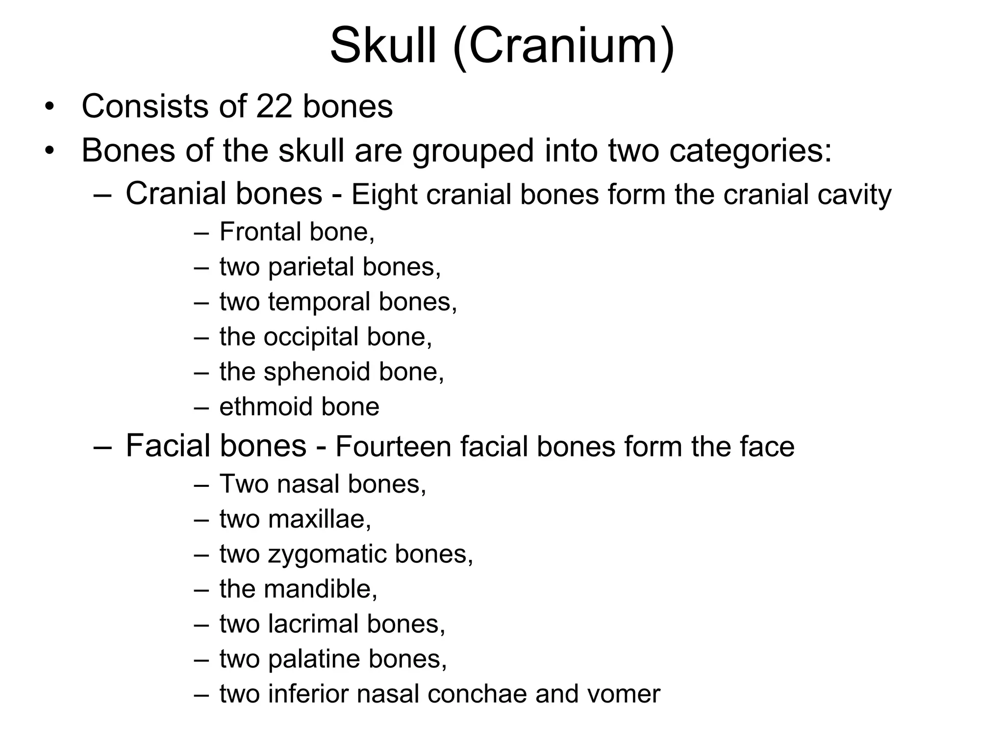 Skull (Cranium)
• Consists of 22 bones
• Bones of the skull are grouped into two categories:
– Cranial bones - Eight cranial bones form the cranial cavity
– Frontal bone,
– two parietal bones,
– two temporal bones,
– the occipital bone,
– the sphenoid bone,
– ethmoid bone
– Facial bones - Fourteen facial bones form the face
– Two nasal bones,
– two maxillae,
– two zygomatic bones,
– the mandible,
– two lacrimal bones,
– two palatine bones,
– two inferior nasal conchae and vomer
 