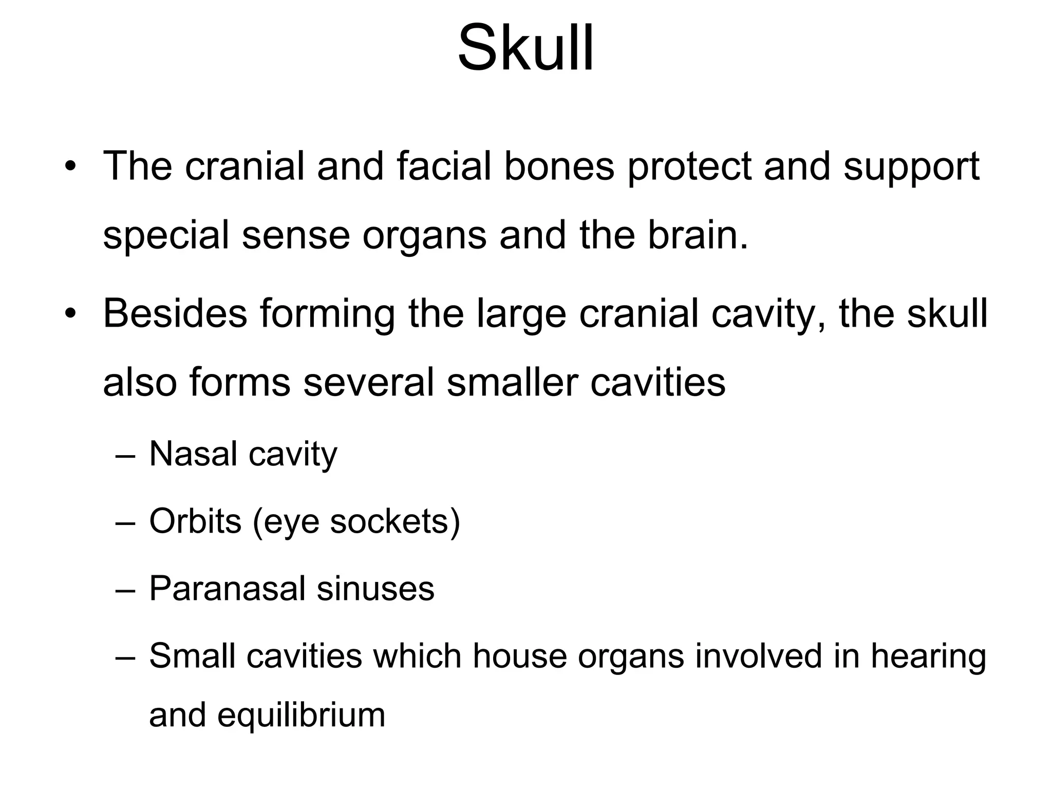 Skull
• The cranial and facial bones protect and support
special sense organs and the brain.
• Besides forming the large cranial cavity, the skull
also forms several smaller cavities
– Nasal cavity
– Orbits (eye sockets)
– Paranasal sinuses
– Small cavities which house organs involved in hearing
and equilibrium
 