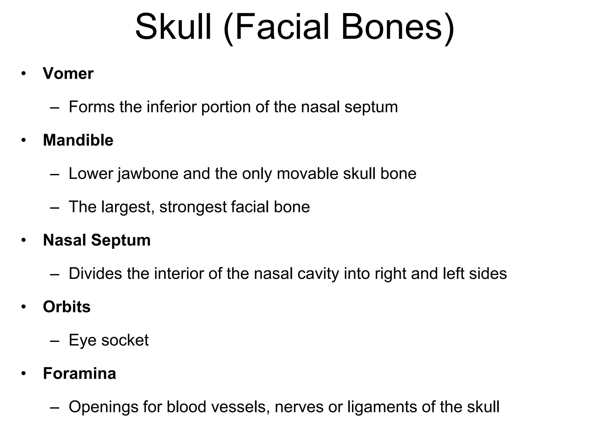 Skull (Facial Bones)
• Vomer
– Forms the inferior portion of the nasal septum
• Mandible
– Lower jawbone and the only movable skull bone
– The largest, strongest facial bone
• Nasal Septum
– Divides the interior of the nasal cavity into right and left sides
• Orbits
– Eye socket
• Foramina
– Openings for blood vessels, nerves or ligaments of the skull
 