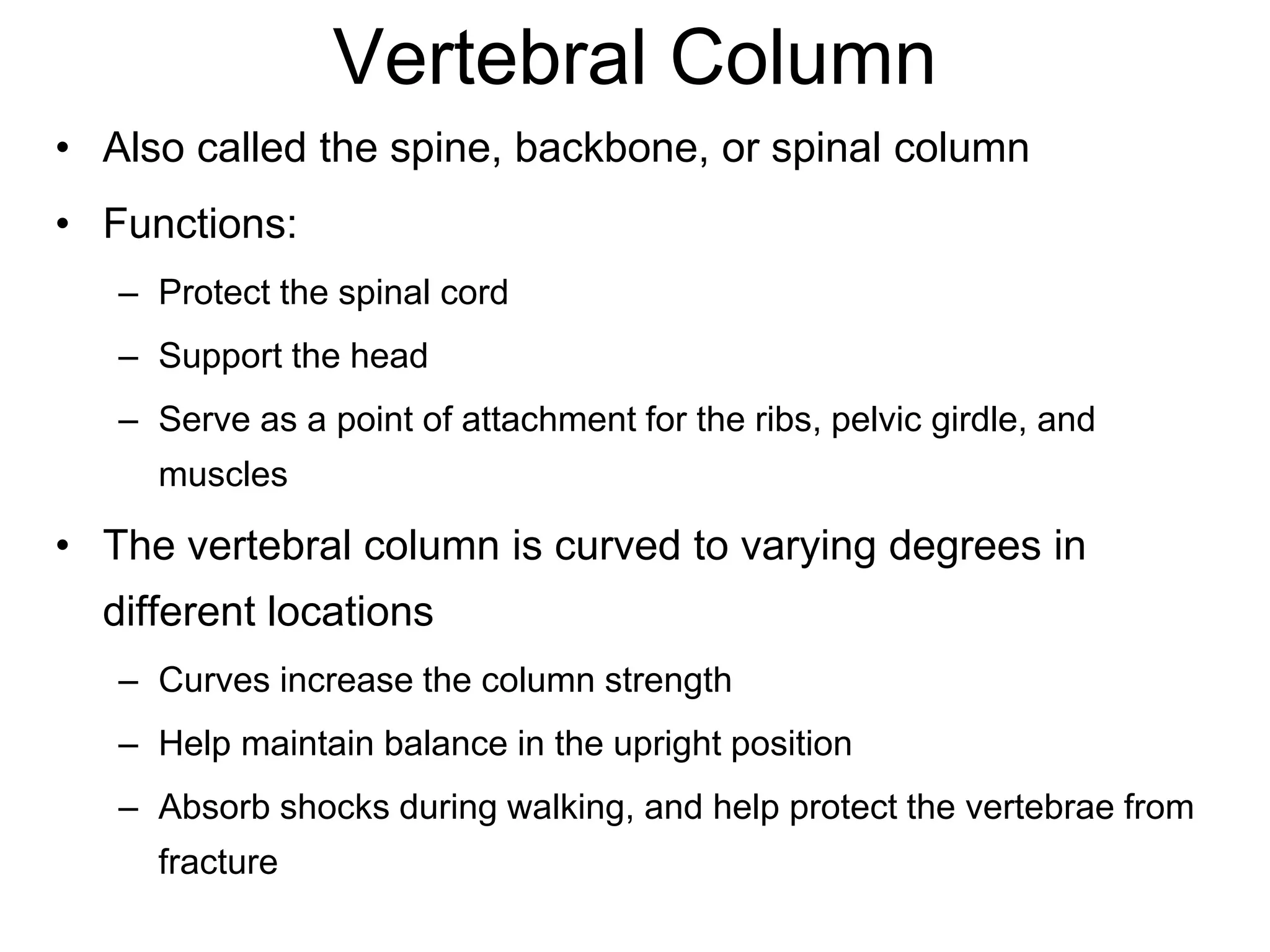 Vertebral Column
• Also called the spine, backbone, or spinal column
• Functions:
– Protect the spinal cord
– Support the head
– Serve as a point of attachment for the ribs, pelvic girdle, and
muscles
• The vertebral column is curved to varying degrees in
different locations
– Curves increase the column strength
– Help maintain balance in the upright position
– Absorb shocks during walking, and help protect the vertebrae from
fracture
 