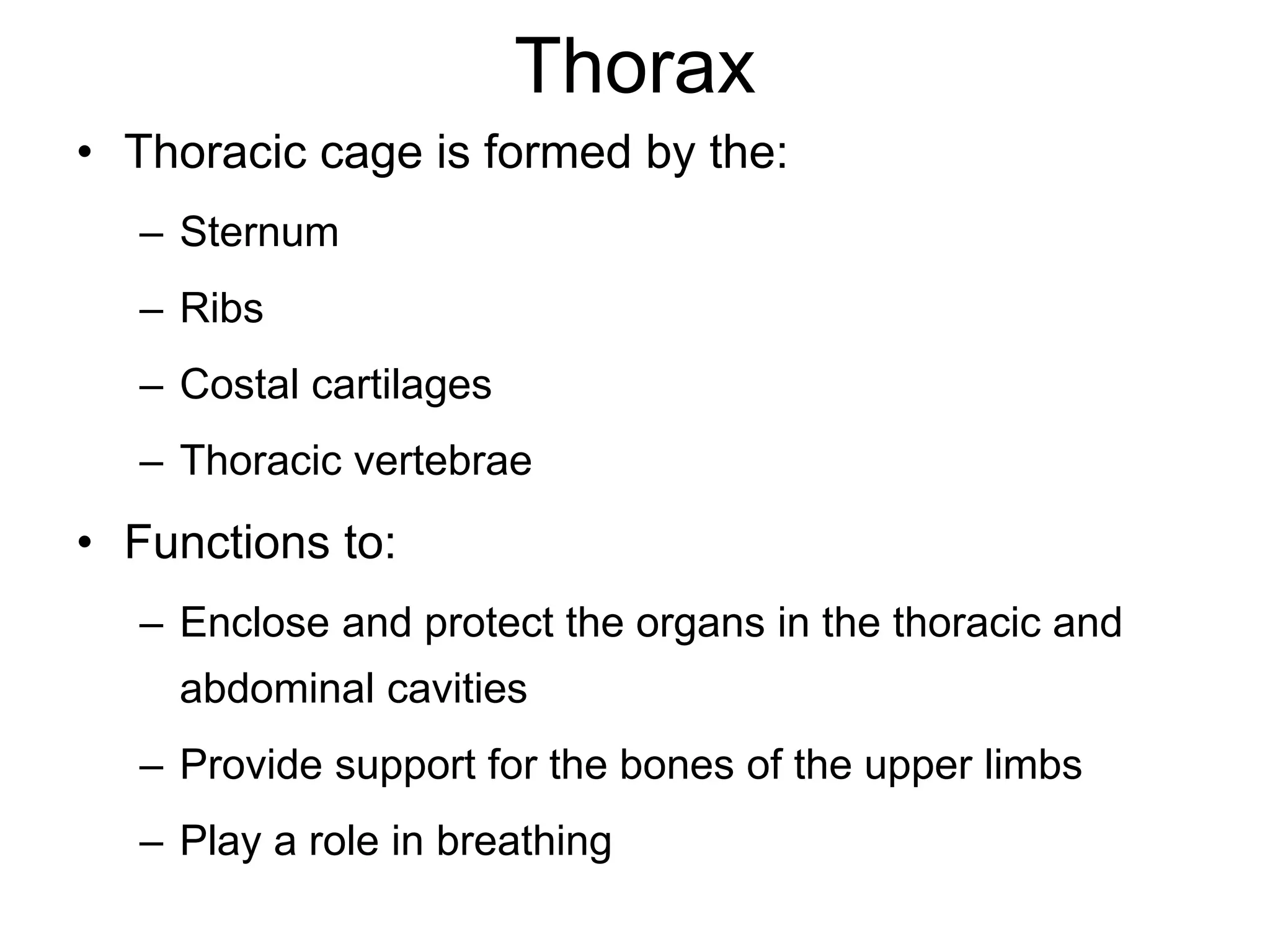 Thorax
• Thoracic cage is formed by the:
– Sternum
– Ribs
– Costal cartilages
– Thoracic vertebrae
• Functions to:
– Enclose and protect the organs in the thoracic and
abdominal cavities
– Provide support for the bones of the upper limbs
– Play a role in breathing
 