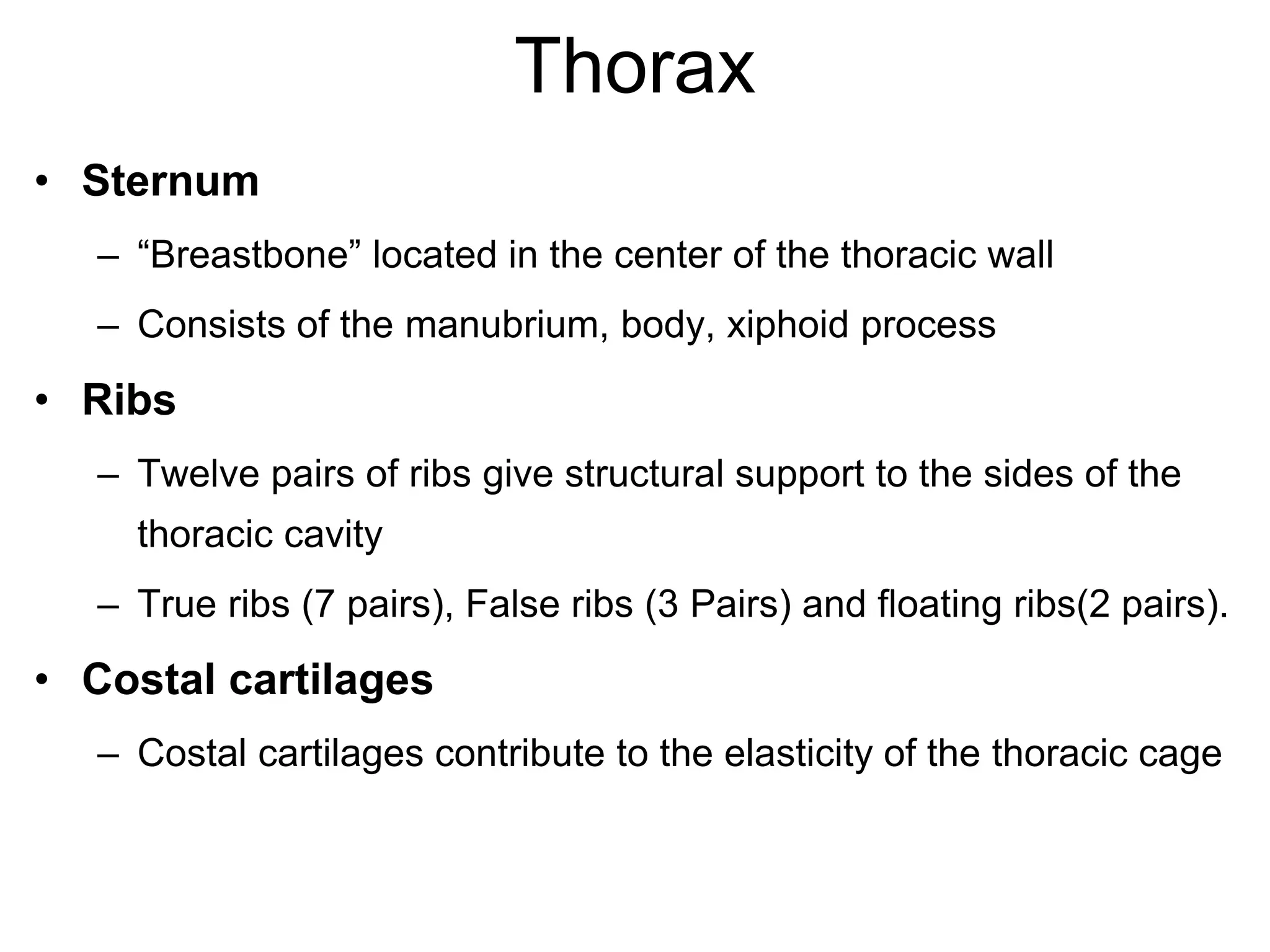 Thorax
• Sternum
– “Breastbone” located in the center of the thoracic wall
– Consists of the manubrium, body, xiphoid process
• Ribs
– Twelve pairs of ribs give structural support to the sides of the
thoracic cavity
– True ribs (7 pairs), False ribs (3 Pairs) and floating ribs(2 pairs).
• Costal cartilages
– Costal cartilages contribute to the elasticity of the thoracic cage
 