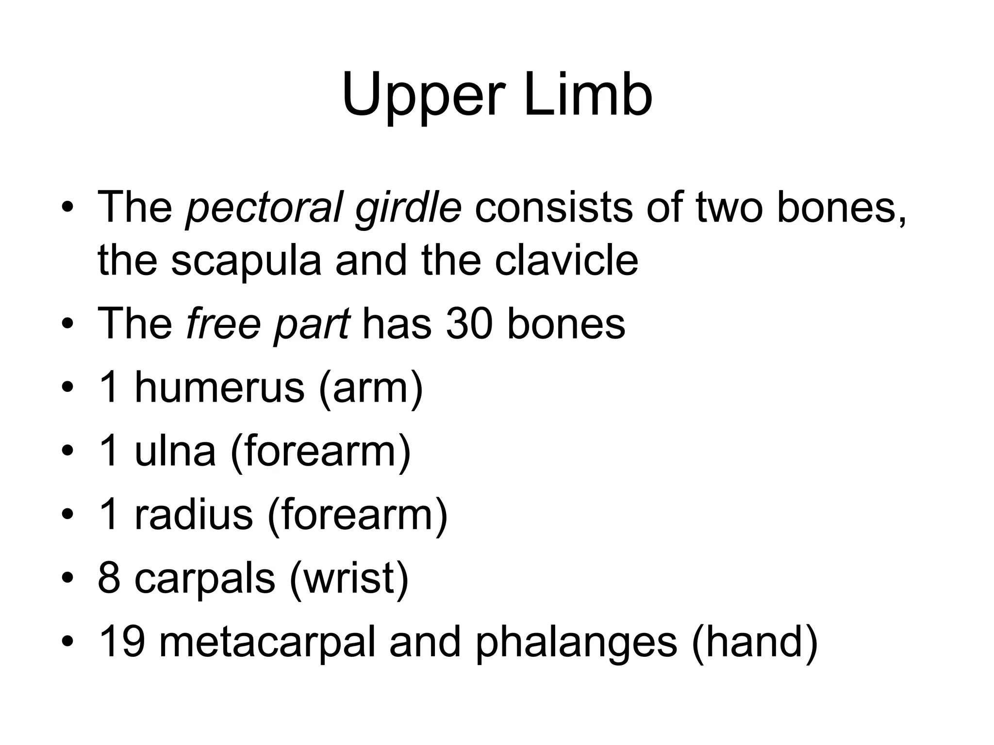 Upper Limb
• The pectoral girdle consists of two bones,
the scapula and the clavicle
• The free part has 30 bones
• 1 humerus (arm)
• 1 ulna (forearm)
• 1 radius (forearm)
• 8 carpals (wrist)
• 19 metacarpal and phalanges (hand)
 
