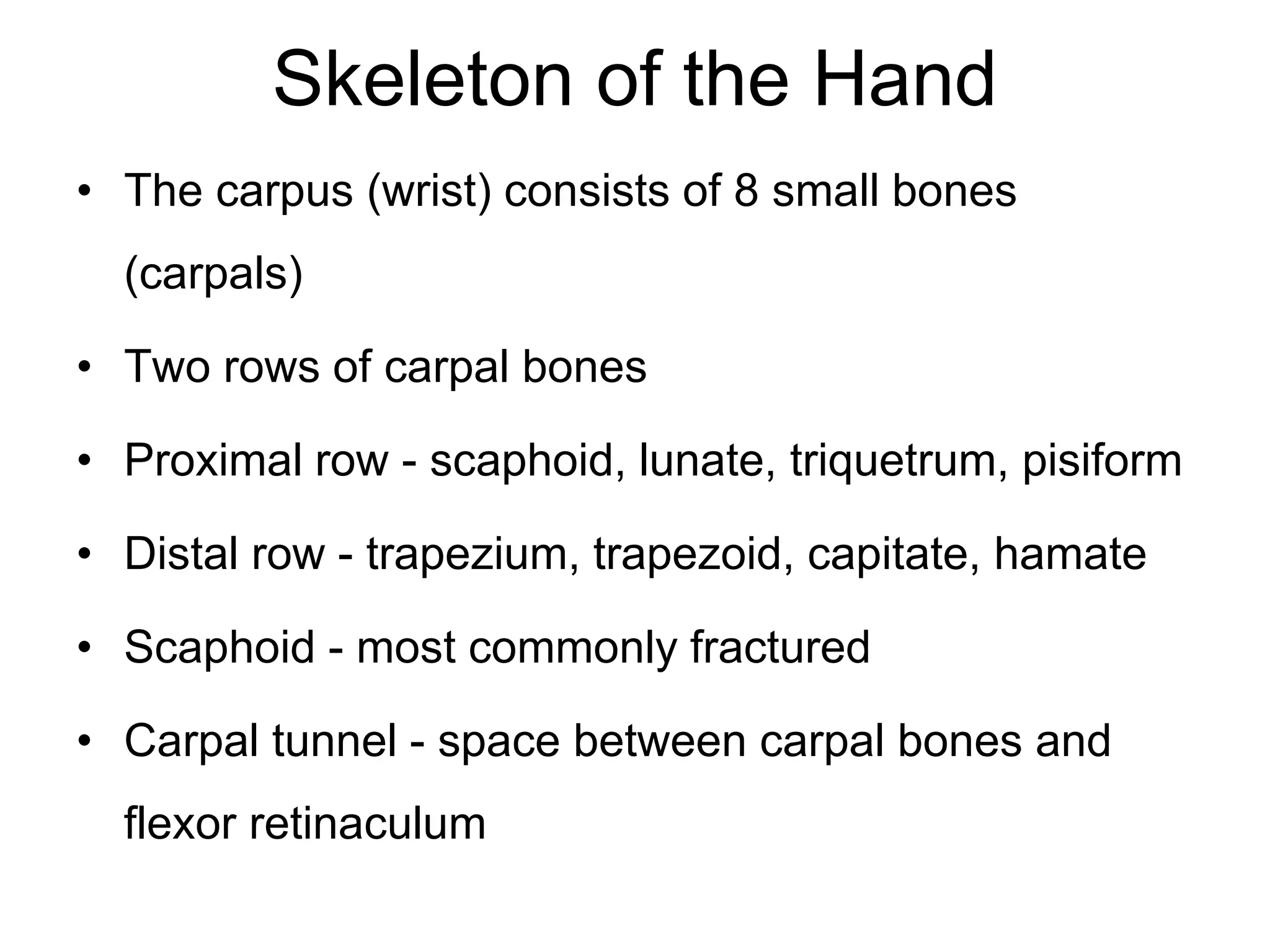 Skeleton of the Hand
• The carpus (wrist) consists of 8 small bones
(carpals)
• Two rows of carpal bones
• Proximal row - scaphoid, lunate, triquetrum, pisiform
• Distal row - trapezium, trapezoid, capitate, hamate
• Scaphoid - most commonly fractured
• Carpal tunnel - space between carpal bones and
flexor retinaculum
 