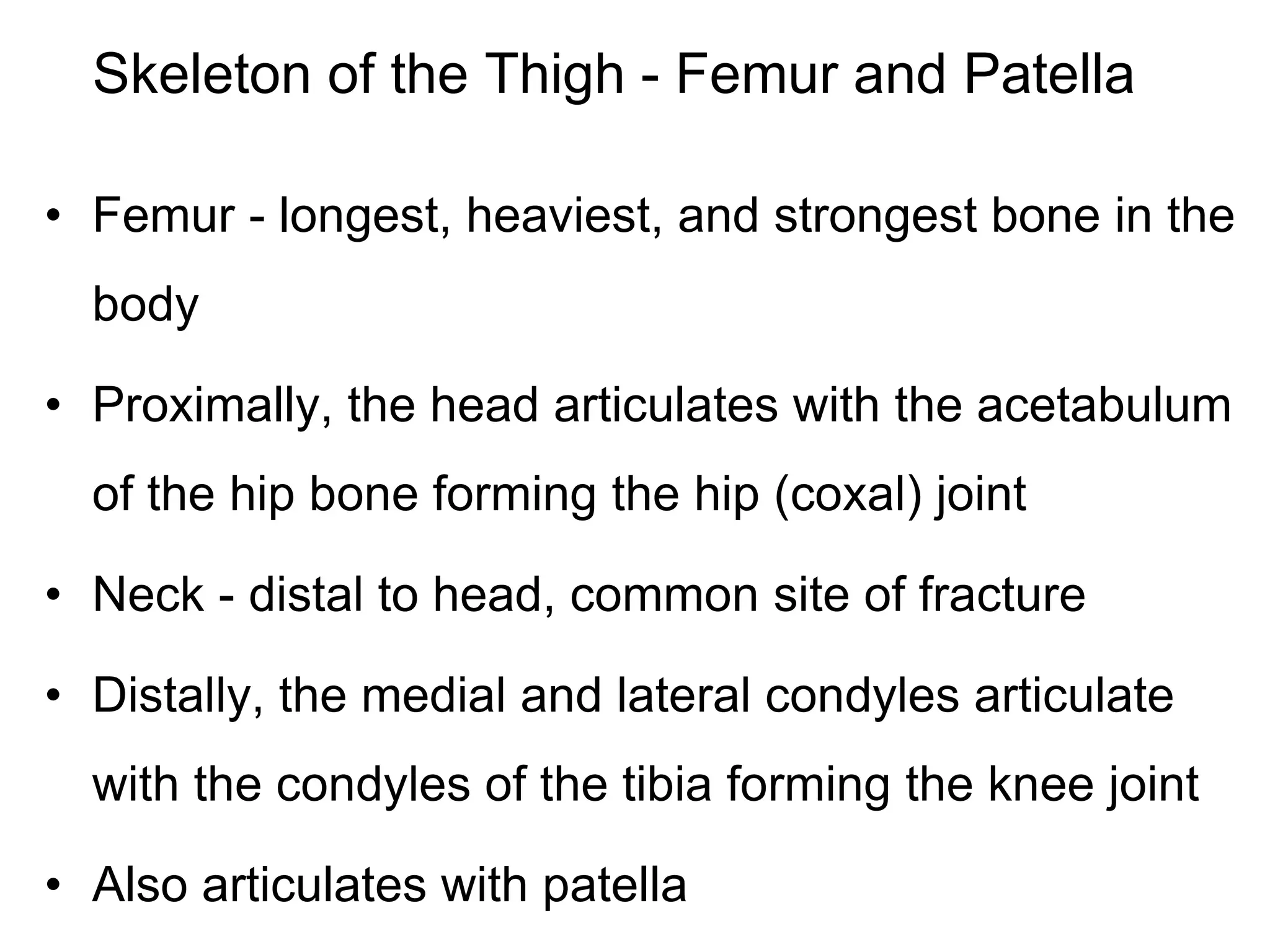 Skeleton of the Thigh - Femur and Patella
• Femur - longest, heaviest, and strongest bone in the
body
• Proximally, the head articulates with the acetabulum
of the hip bone forming the hip (coxal) joint
• Neck - distal to head, common site of fracture
• Distally, the medial and lateral condyles articulate
with the condyles of the tibia forming the knee joint
• Also articulates with patella
 