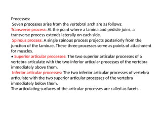 B Pharm First Year , Human Anatomy and Physiology UNIT-II Skeletal ...