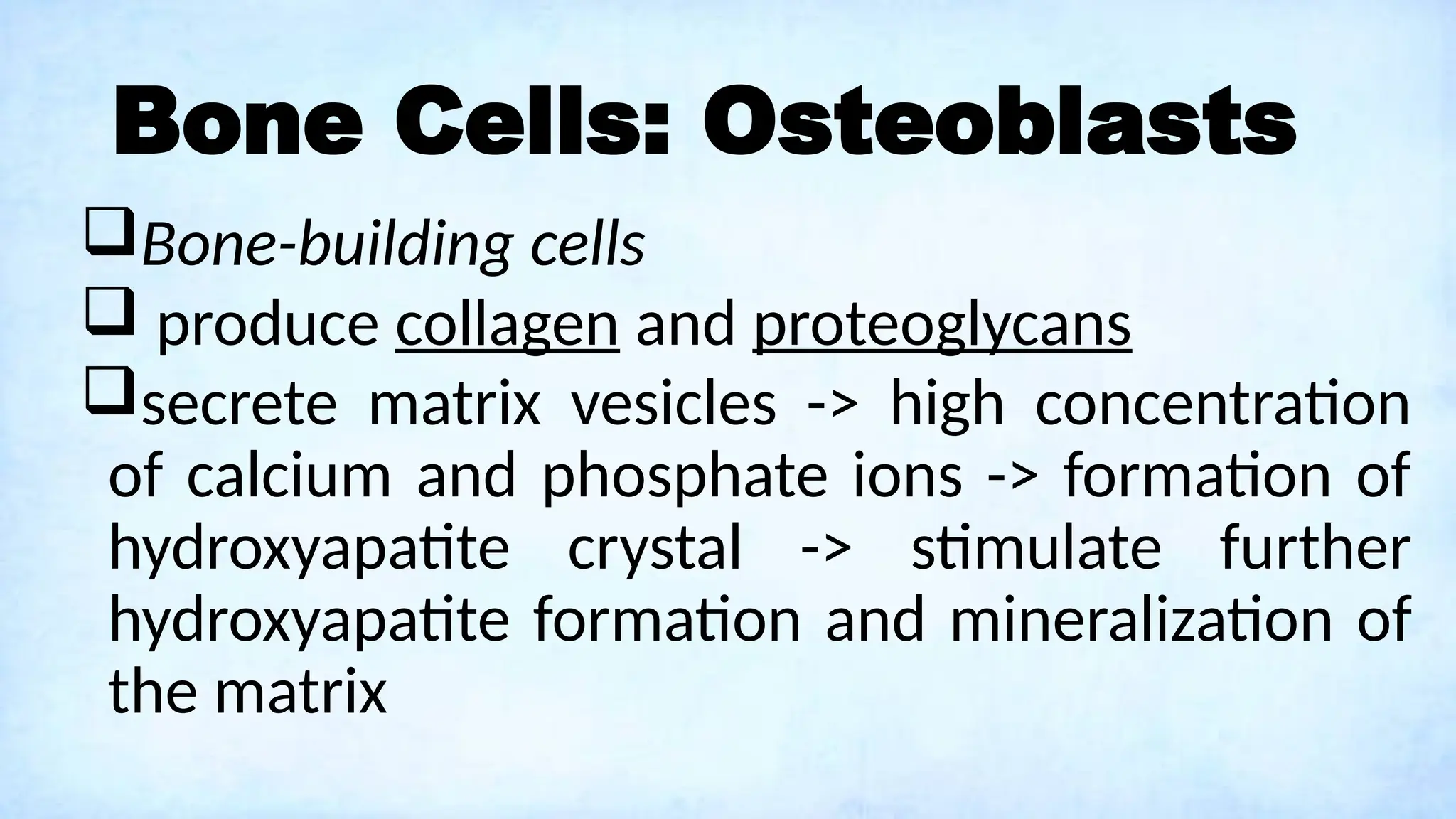 Bone Cells: Osteoblasts
Bone-building cells
 produce collagen and proteoglycans
secrete matrix vesicles -> high concentration
of calcium and phosphate ions -> formation of
hydroxyapatite crystal -> stimulate further
hydroxyapatite formation and mineralization of
the matrix
 