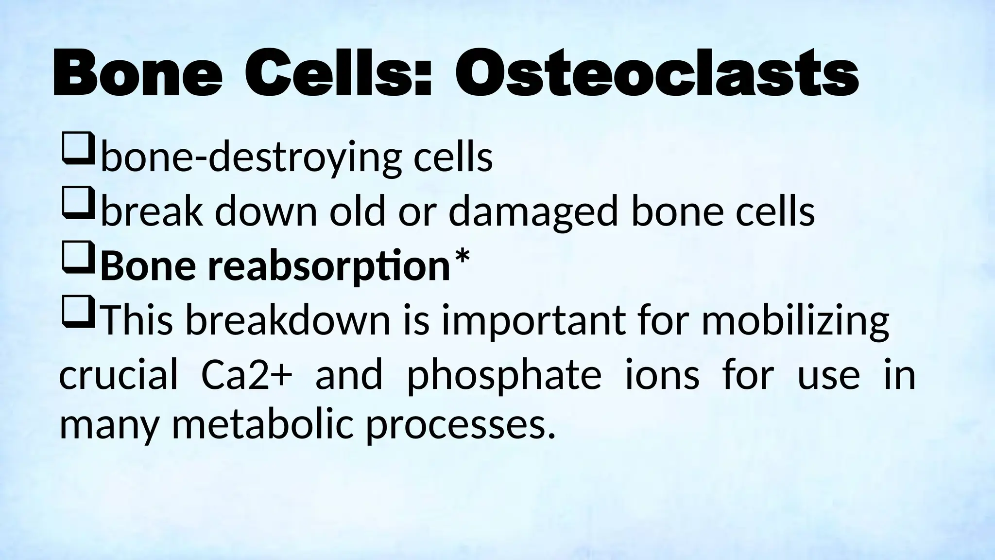 Bone Cells: Osteoclasts
bone-destroying cells
break down old or damaged bone cells
Bone reabsorption*
This breakdown is important for mobilizing
crucial Ca2+ and phosphate ions for use in
many metabolic processes.
 