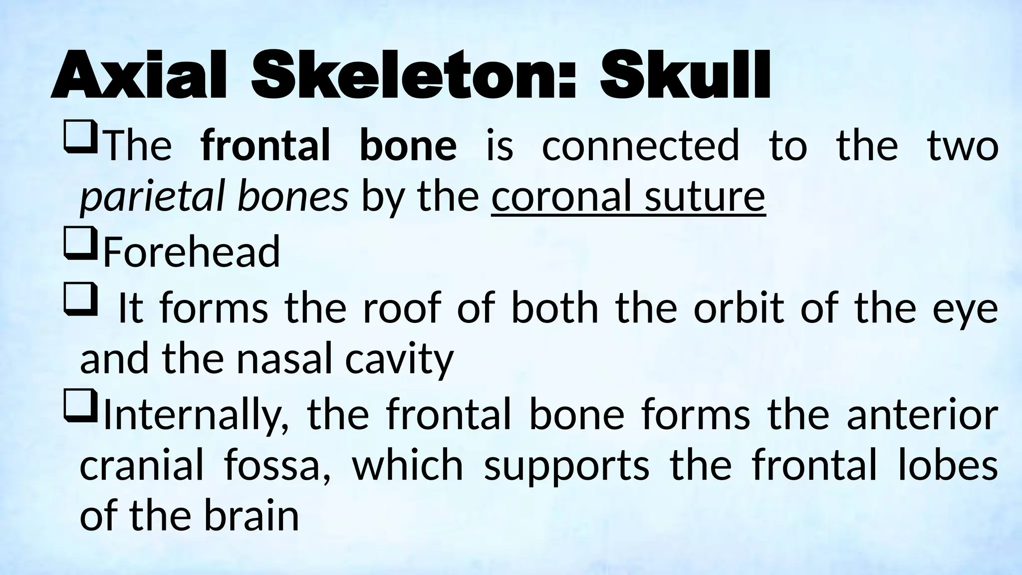 Axial Skeleton: Skull
The frontal bone is connected to the two
parietal bones by the coronal suture
Forehead
 It forms the roof of both the orbit of the eye
and the nasal cavity
Internally, the frontal bone forms the anterior
cranial fossa, which supports the frontal lobes
of the brain
 