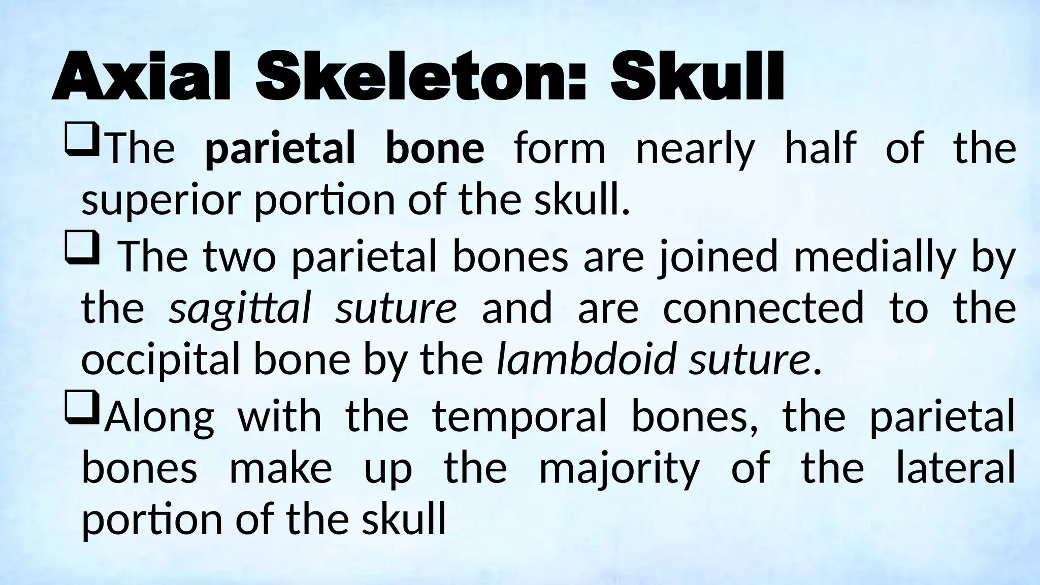 Axial Skeleton: Skull
The parietal bone form nearly half of the
superior portion of the skull.
 The two parietal bones are joined medially by
the sagittal suture and are connected to the
occipital bone by the lambdoid suture.
Along with the temporal bones, the parietal
bones make up the majority of the lateral
portion of the skull
 
