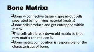 A Lecture on Skeletal System: Components, Structures, and Functions.pptx