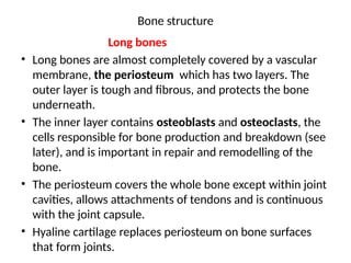 Presentation on Skeletal System nursing ppt | PPTX