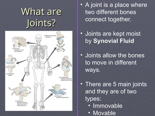 Skeletal System PowerPoint Presentation. | PPT