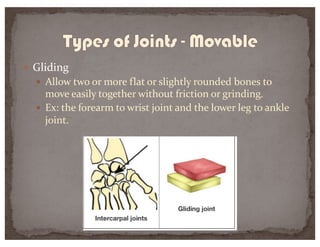 — Gliding
— Allow two or more flat or slightly rounded bones to
move easily together without friction or grinding.
— Ex: the forearm to wrist joint and the lower leg to ankle
joint.
 