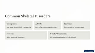Common Skeletal Disorders
Osteoporosis
Low bone density, high fracture risk.
Arthritis
Joint inflammation causing pain.
Fractures
Bone breaks of various types.
Scoliosis
Spine abnormal curvature.
Rickets/Osteomalacia
Soft bones due to vitamin D deficiency.
 