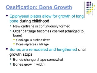 Skeletal System presentation for high school | PPTX