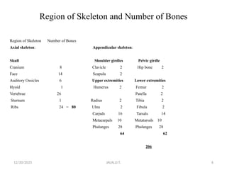 skeletal system introduction and what are the bones found in our body ...