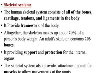 Comprehensive Overview of the Human Skeletal System and Its Functions ...