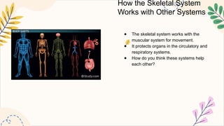 How the Skeletal System
Works with Other Systems
● The skeletal system works with the
muscular system for movement.
● It protects organs in the circulatory and
respiratory systems.
● How do you think these systems help
each other?
 