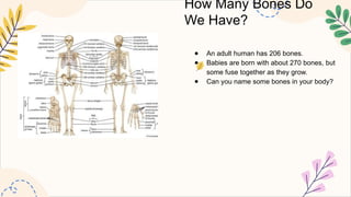 How Many Bones Do
We Have?
● An adult human has 206 bones.
● Babies are born with about 270 bones, but
some fuse together as they grow.
● Can you name some bones in your body?
 