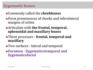 Skeletal system-AXIAL(skeletal muscle axial part).pdf