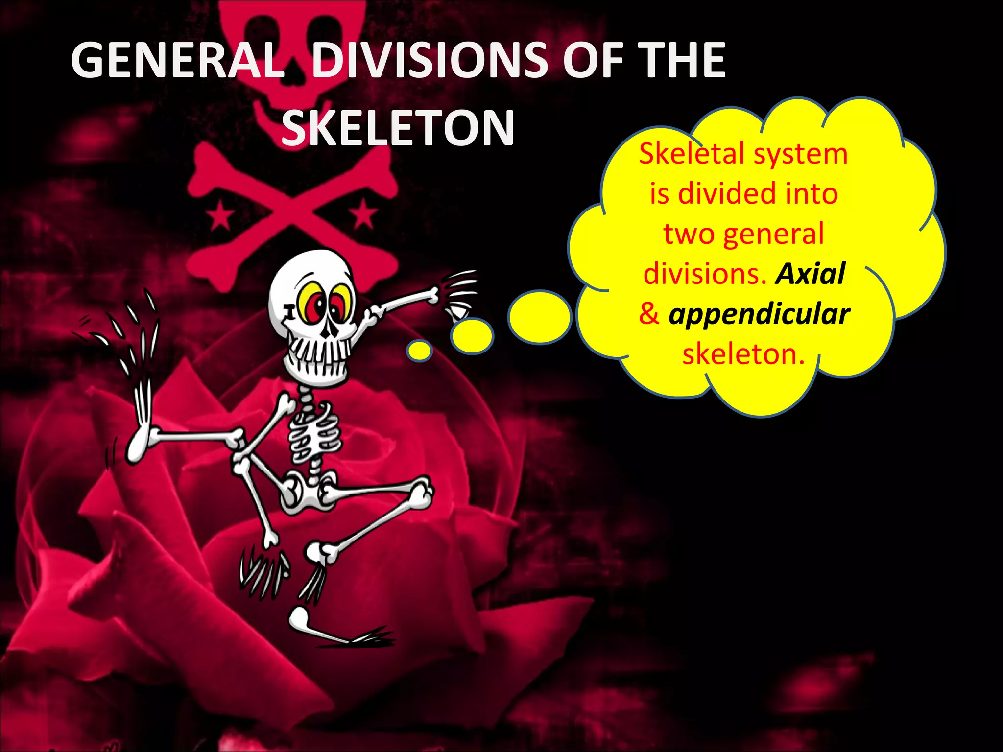 GENERAL  DIVISIONS OF THE SKELETON Skeletal system is divided into two general divisions.  Axial   &  appendicular   skeleton. 