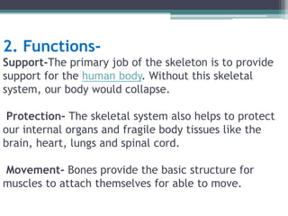 2. Functions-
Support-The primary job of the skeleton is to provide
support for the human body. Without this skeletal
system, our body would collapse.
Protection- The skeletal system also helps to protect
our internal organs and fragile body tissues like the
brain, heart, lungs and spinal cord.
Movement- Bones provide the basic structure for
muscles to attach themselves for able to move.
 