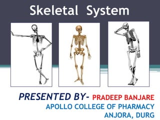 Skeletal System
PRESENTED BY- PRADEEP BANJARE
APOLLO COLLEGE OF PHARMACY
ANJORA, DURG
 