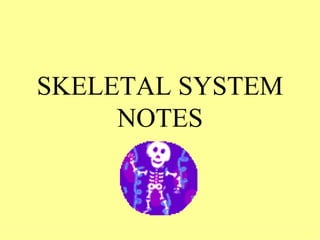 SKELETAL SYSTEM NOTES 