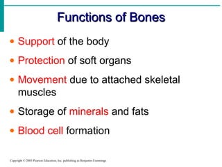 Functions of Bones
• Support of the body
• Protection of soft organs
• Movement due to attached skeletal
muscles
• Storage of minerals and fats
• Blood cell formation
Copyright © 2003 Pearson Education, Inc. publishing as Benjamin Cummings

 