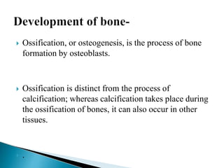 Skeletalsystem1 | PPTX