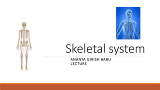 Skeletal system
ANANYA GIRISH BABU
LECTURE
 