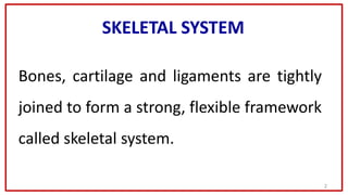 2
Bones, cartilage and ligaments are tightly
joined to form a strong, flexible framework
called skeletal system.
SKELETAL ...
