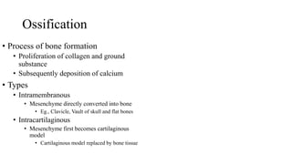 Sification Process skeletal system21-22.pptx