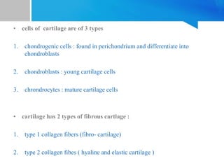 • cells of cartilage are of 3 types
1. chondrogenic cells : found in perichondrium and differentiate into
chondroblasts
2. chondroblasts : young cartilage cells
3. chrondrocytes : mature cartilage cells
• cartilage has 2 types of fibrous cartlage :
1. type 1 collagen fibers (fibro- cartilage)
2. type 2 collagen fibes ( hyaline and elastic cartilage )
 