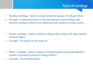 Types of cartilage
• Hyaline cartilage : matrix contains moderate amount of collagen fibers
• Example : Connection between ribs and sternum, nasal cartilage and
articular cartilage (which covers opposing bone surfaces in many joints).
• Elastic cartilage : matrix contains collagen fibers along with large number
of elastic fibers
• Example : the auricle of the outer ear.
• Fibro- cartilage : matrix contains a limited number of ground substance
amidst a substantial amount of collagen fibers
• Example : Intervertebral discs
 