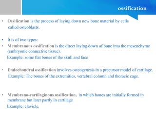 ossification
• Ossification is the process of laying down new bone material by cells
called osteoblasts.
• It is of two types:
• Membranous ossification is the direct laying down of bone into the mesenchyme
(embryonic connective tissue).
Example: some flat bones of the skull and face
• Endochondral ossification involves osteogenesis in a precursor model of cartilage.
Example: The bones of the extremities, vertebral column and thoracic cage.
• Membrano-cartilaginous ossification, in which bones are initially formed in
membrane but later partly in cartilage
Example: clavicle.
 
