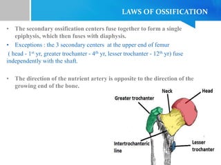 LAWS OF OSSIFICATION
• The secondary ossification centers fuse together to form a single
epiphysis, which then fuses with diaphysis.
• Exceptions : the 3 secondary centers at the upper end of femur
( head - 1st yr, greater trochanter - 4th yr, lesser trochanter - 12th yr) fuse
independently with the shaft.
• The direction of the nutrient artery is opposite to the direction of the
growing end of the bone.
 