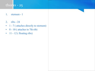 thorax - 25
1. sternum - 1
2. ribs - 24
• 1 - 7 ( attaches directly to sternum)
• 8 - 10 ( attaches to 7th rib)
• 11 - 12 ( floating ribs)
 